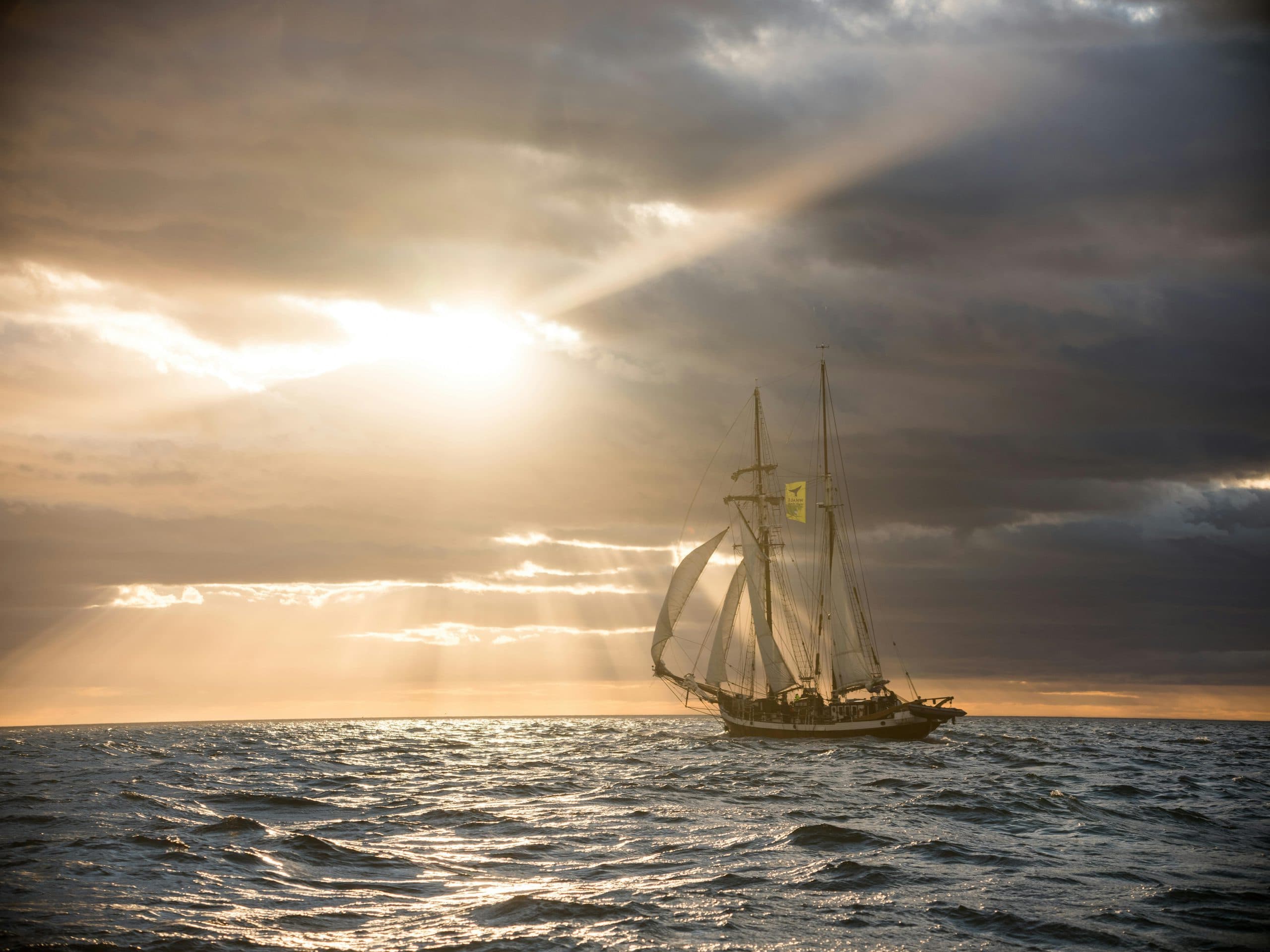 A tall ship under sail in dramatic golden light